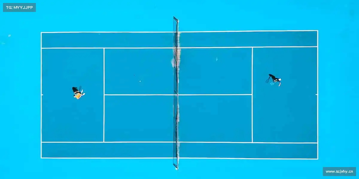 为什么选择我们